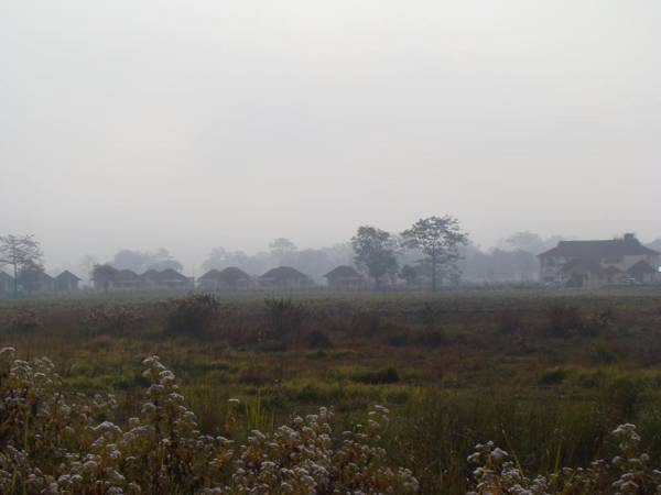 Musa Jungle Retreat