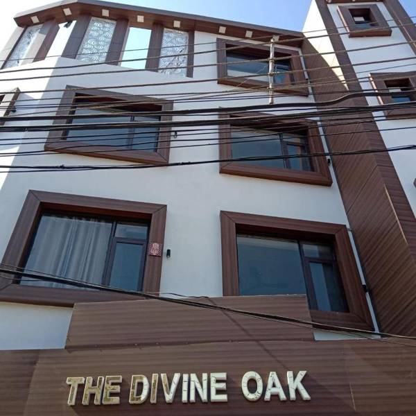 The Divine Oak