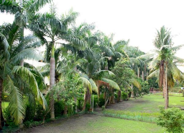 Vedic village aqua bungalow