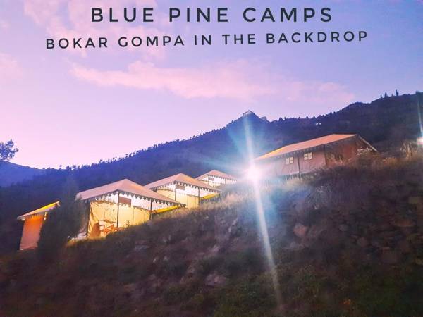 Blue Pine Camp