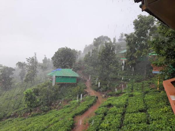 Vythiri Hills Resort