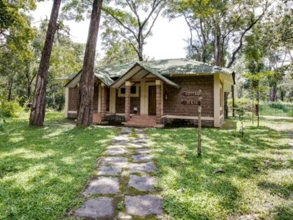 Anejhari Butterfly Camp-Jungle lodges