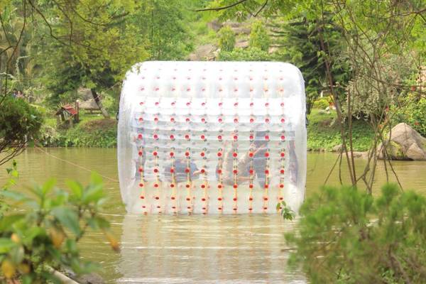 Brahmaputra Jungle Resort