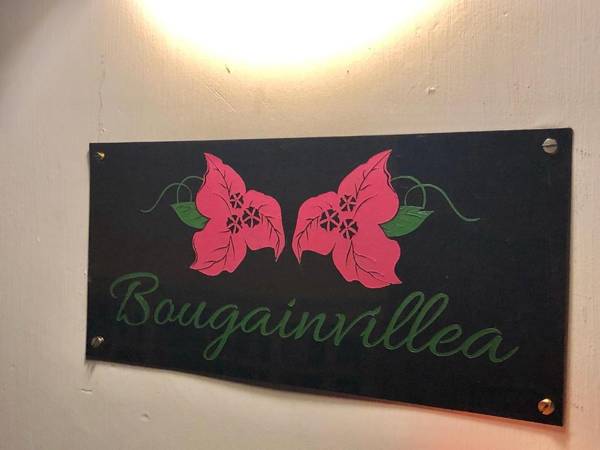 Bougainvillea