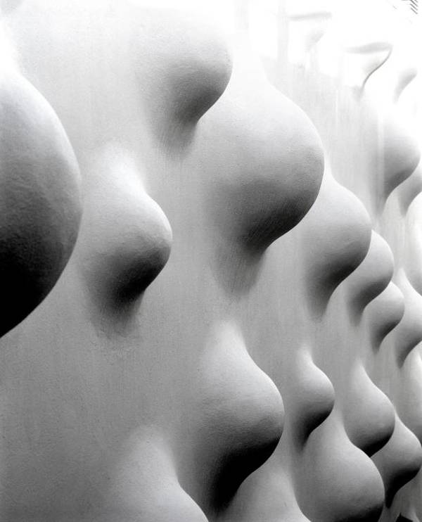 101 Hotel a Member of Design Hotels