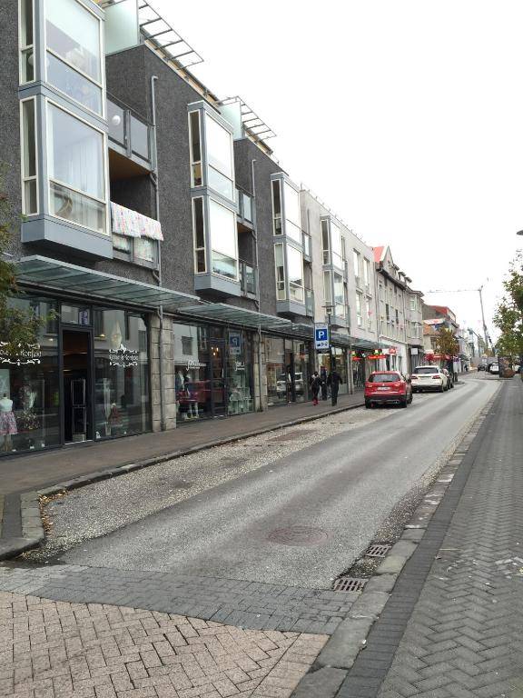 Baldursbrá Apartment Laugavegur