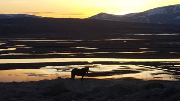 Hofsstadir - Country Hotel