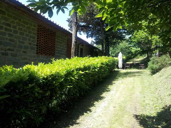 Amazing stay in Tuscany rustic style