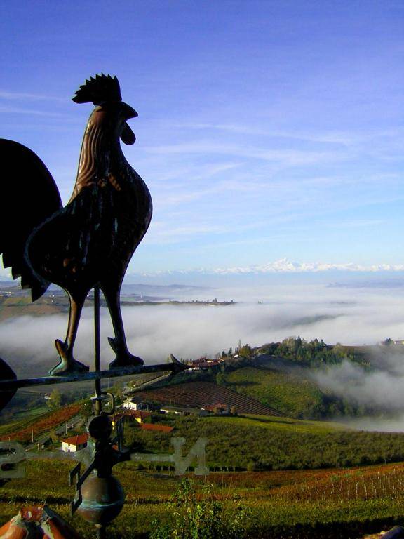 Agriturismo Il Bricco