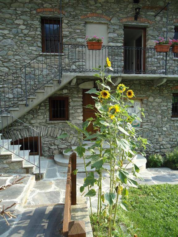 Affittacamere Il Contadino