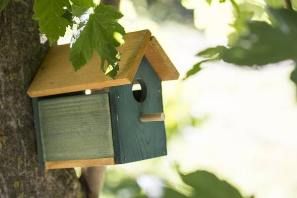 Agriturismo Rossolampone