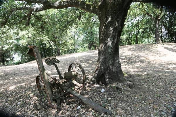 Agriturismo - Collina Toscana Resort