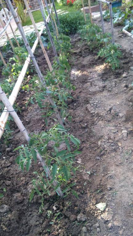 La Residence da Caterina