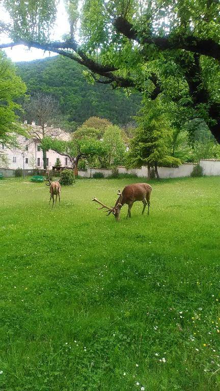 Appartamenti De Sanctis