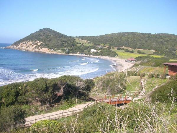 Apartment in Villanova Monteleone Alghero 41070