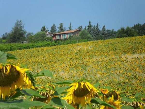 L'Alpenice Bioagriturismo