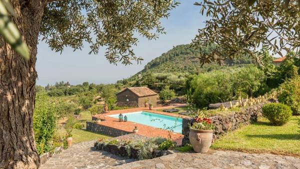 Il palmento dell'Etna