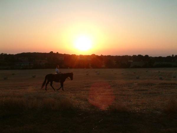 Agriturismo il Poggio
