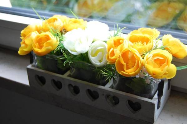 Appartamenti Poggio di Giano