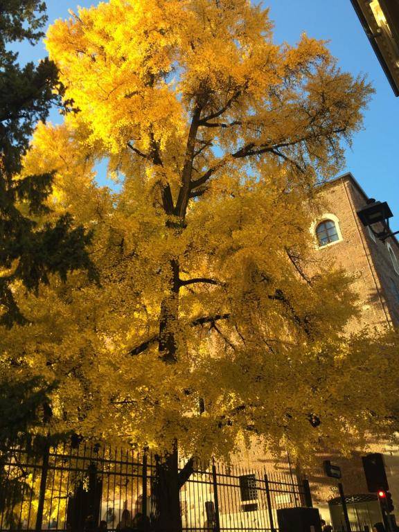 B&B Residenza Ermanni