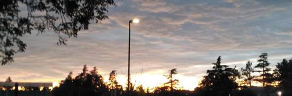 Agricampeggio Oro Verde