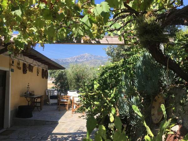 Stylish Holiday Home in Ventimiglia with Barbecue