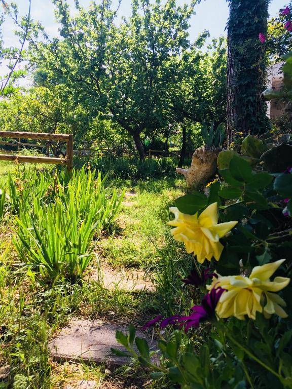 Casa Vacanze Fattoria Pozzitello