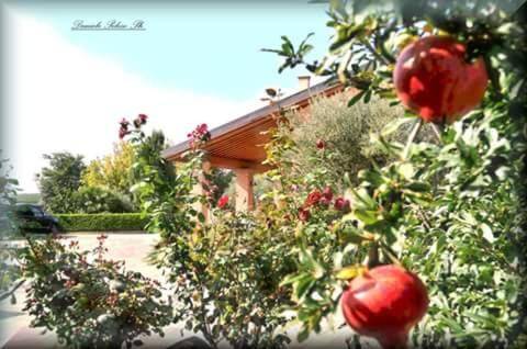 Agriturismo Ca' Del Gal