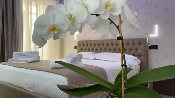 B&B L'Orchidea