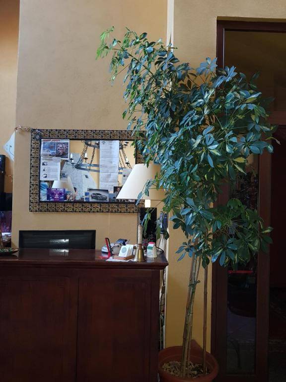 Hotel Damian Park Hotel Delle Magnolie