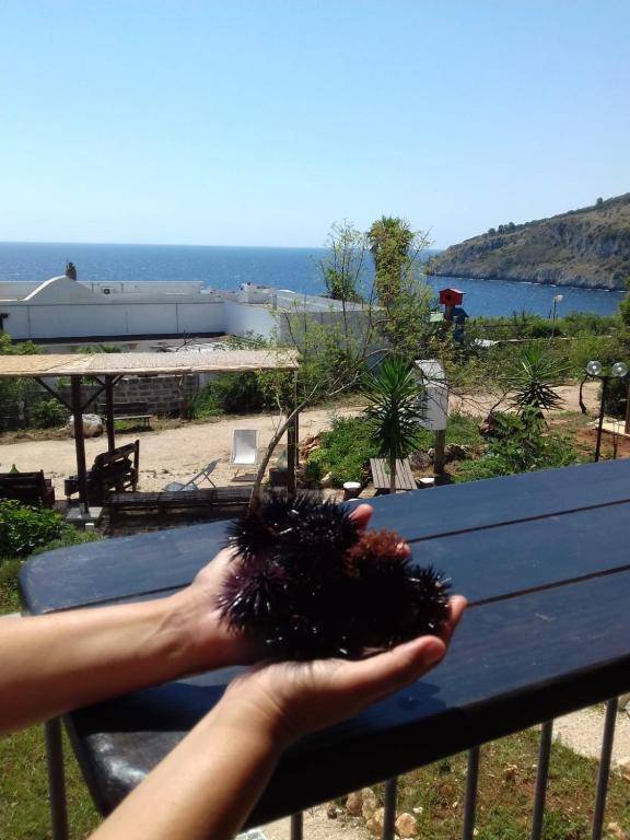 Agriturismo Salento D'Arare