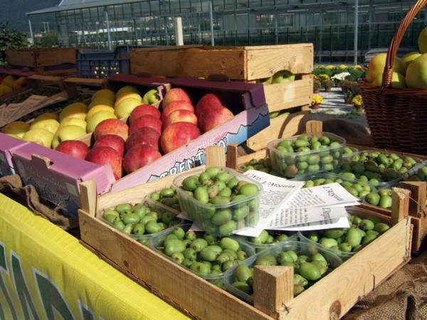 Agriturismo Locanda de l'Arguta