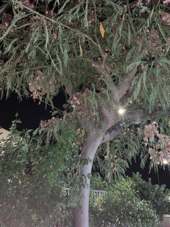 Valentina Lovely Rooms