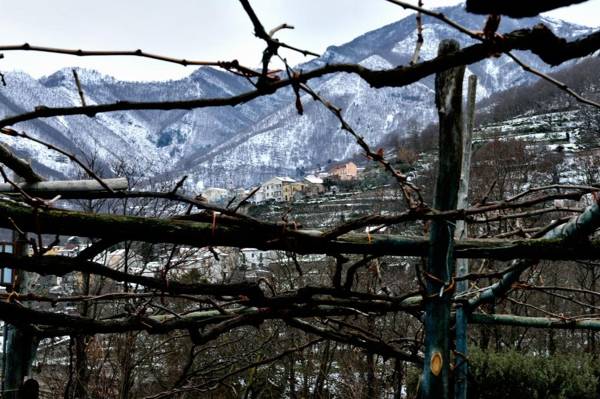 Agriturismo Il Tintore