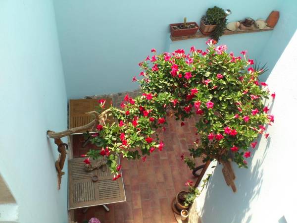 Bed & Breakfast La Pavoncella