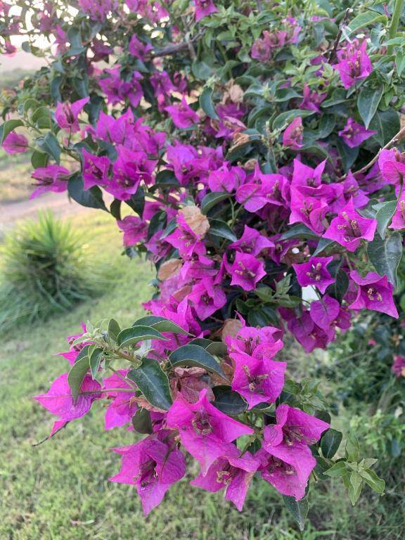 Agriturismo Turudhis