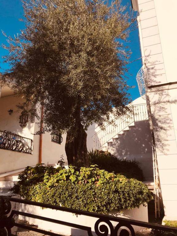 B&B Casa Maria Vittoria