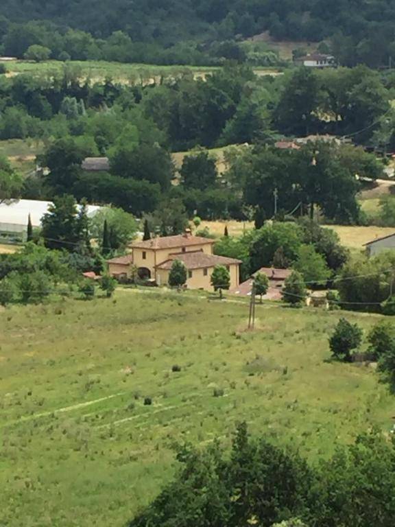 Serendipity House B&B