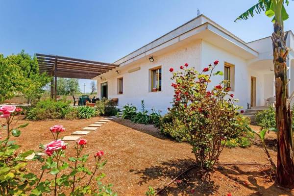 Villa Sole by BarbarHouse