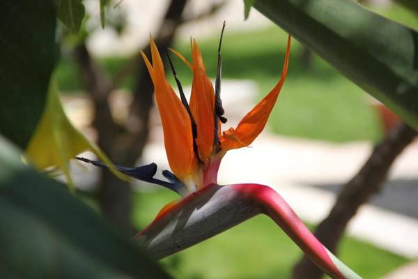 Taormina Garden Hotel