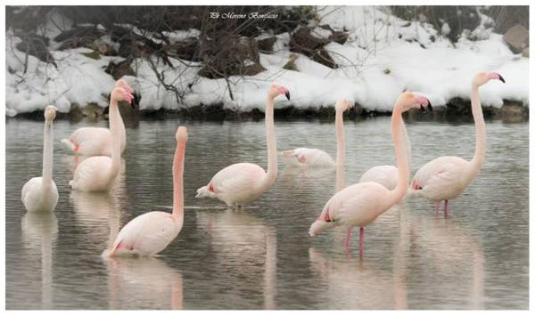 Agriturismo Ca' Pisani