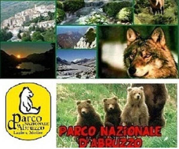 B&B Residence Armonia Sulmona