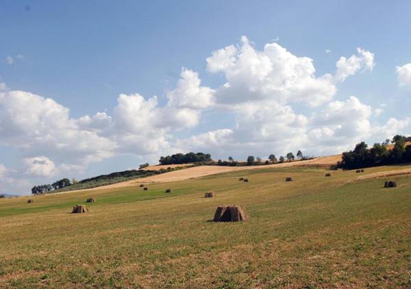 Agriturismo Il Poggiolo
