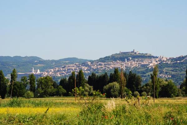 Agriturismo Il Barco