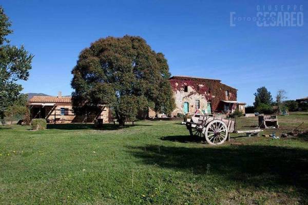 Apartment in an organic agriturismo with sheep pool quiet location