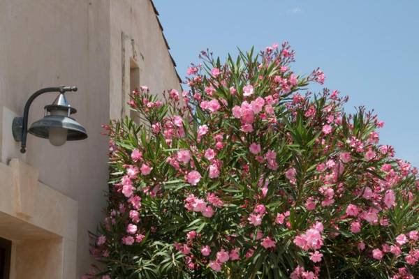 Case Vacanza SANT'AGOSTINO Siracusa