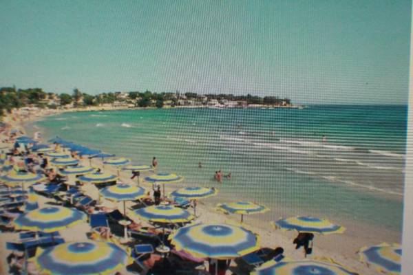 The Little Muse In Via Delle Muse 4