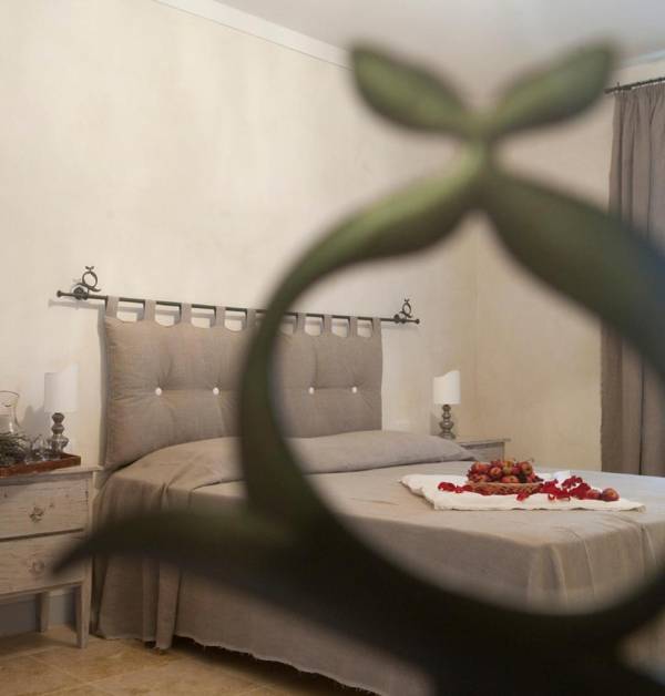 Rinidia Siena Celso Cittadini Grande