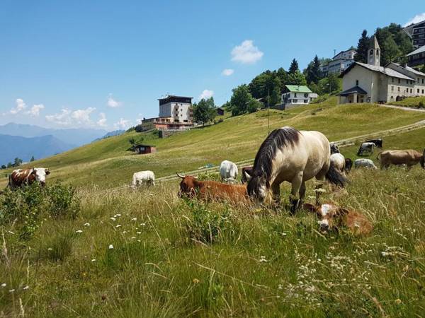 Rifugio Camparient