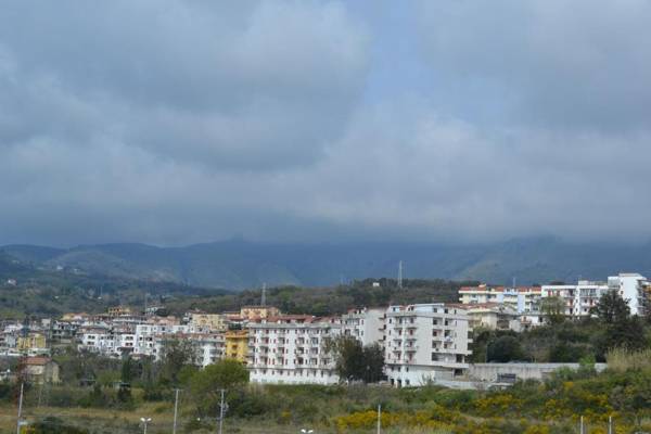 Mary&Kate's green house